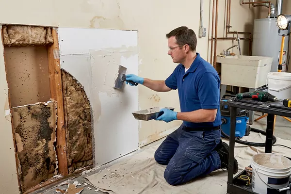 Mold and Drywall Repair Placentia