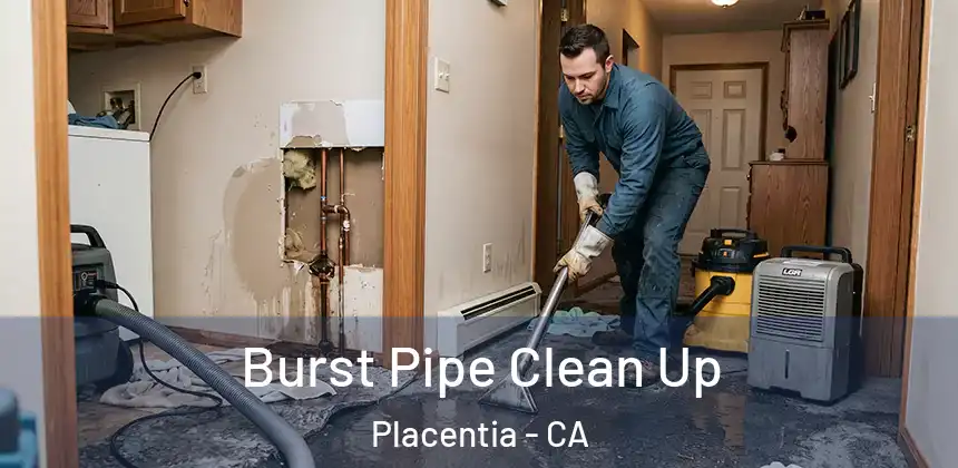  Burst Pipe Clean Up Placentia - CA