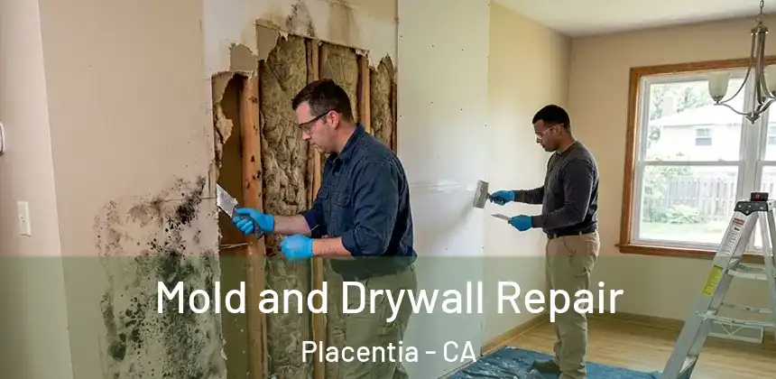 Mold and Drywall Repair Placentia - CA