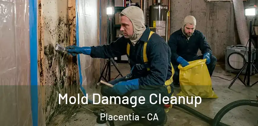 Mold Damage Cleanup Placentia - CA