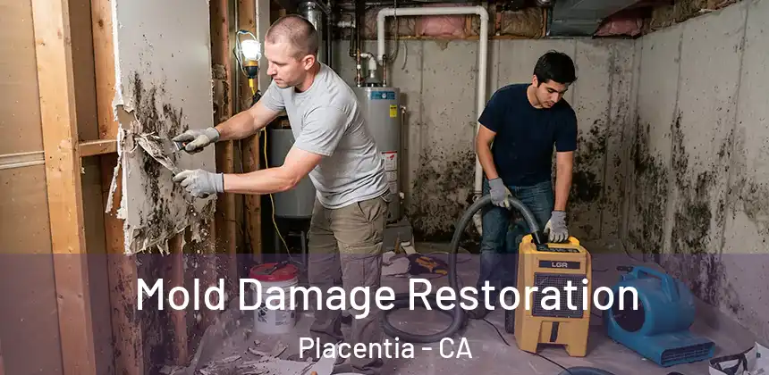  Mold Damage Restoration Placentia - CA