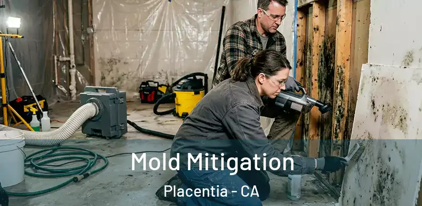  Mold Mitigation Placentia - CA