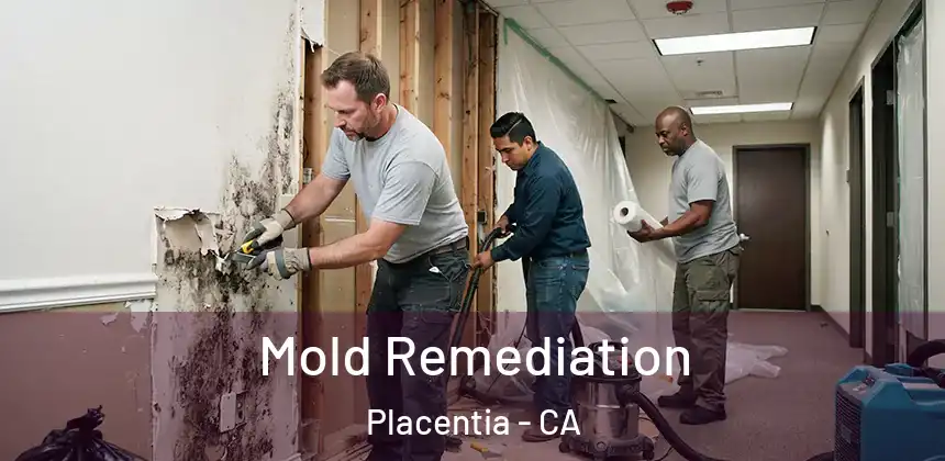 Mold Remediation Placentia - CA