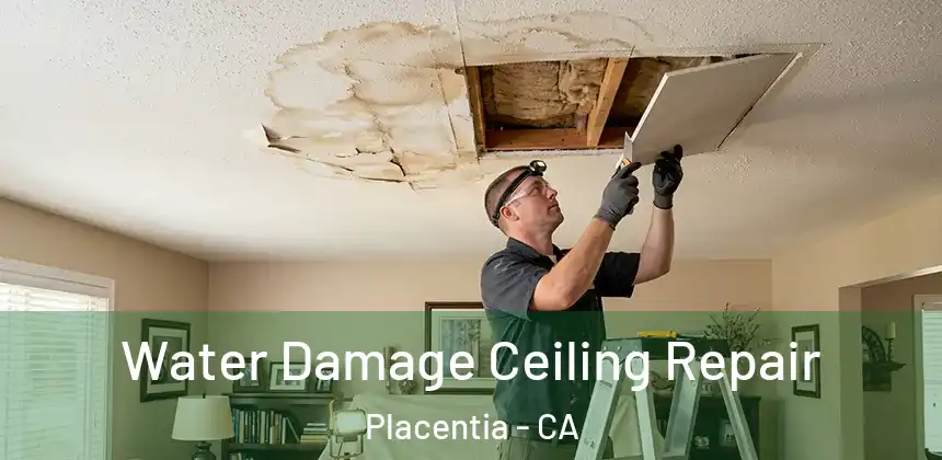Water Damage Ceiling Repair Placentia - CA