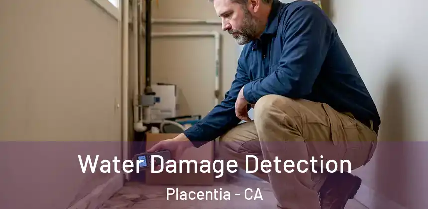 Water Damage Detection Placentia - CA