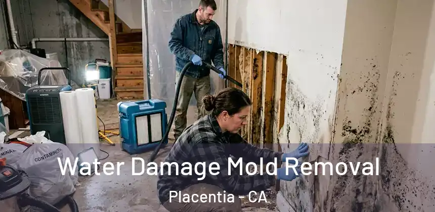 Water Damage Mold Removal Placentia - CA