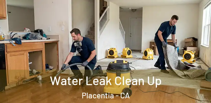 Water Leak Clean Up Placentia - CA