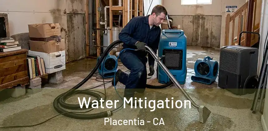  Water Mitigation Placentia - CA
