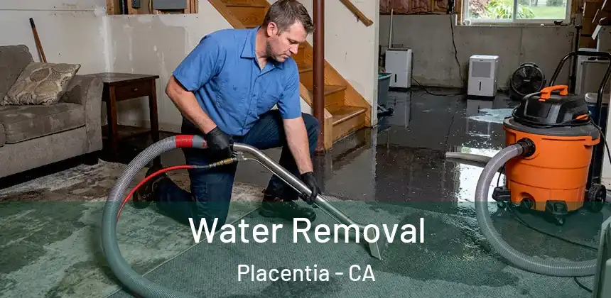 Water Removal Placentia - CA